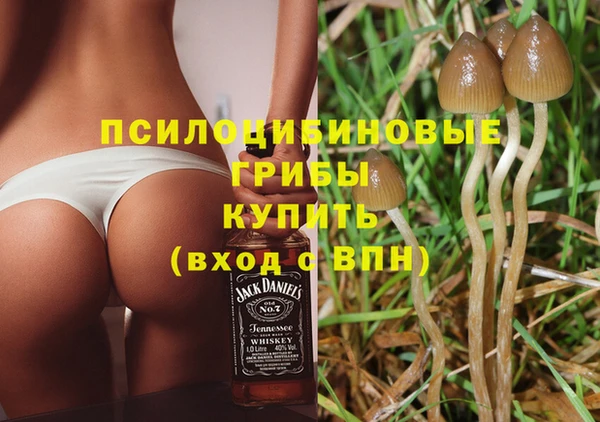 ПСИЛОЦИБИНОВЫЕ ГРИБЫ Белокуриха