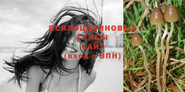 ПСИЛОЦИБИНОВЫЕ ГРИБЫ Белокуриха