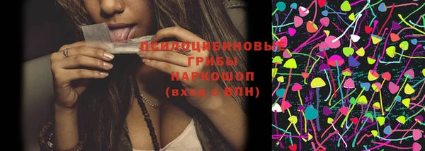 ПСИЛОЦИБИНОВЫЕ ГРИБЫ Белокуриха