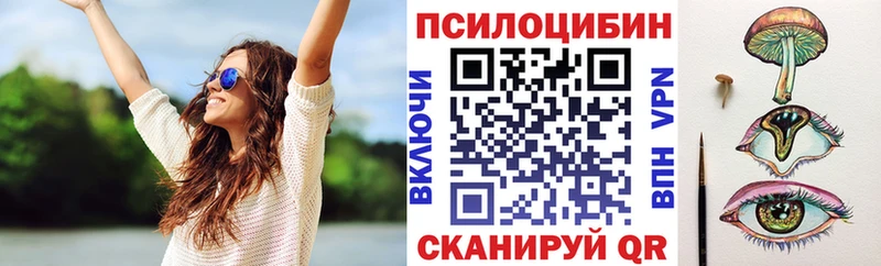 МЕГА   Гремячинск  Псилоцибиновые грибы Psilocybine cubensis 